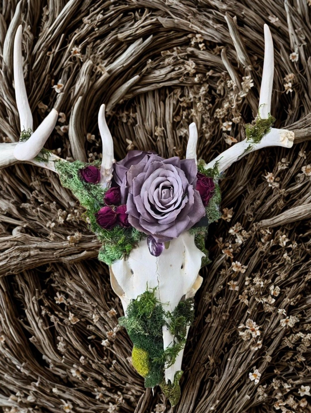 Forest Mourning Deer Skull