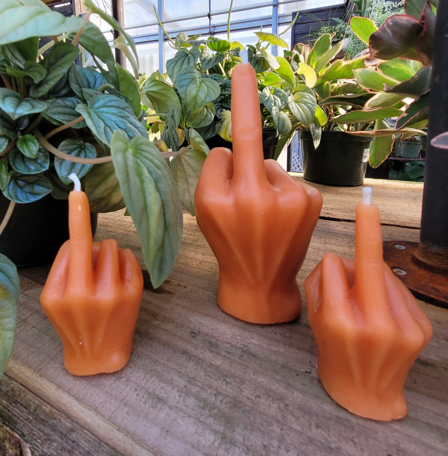 Middle Finger Candle