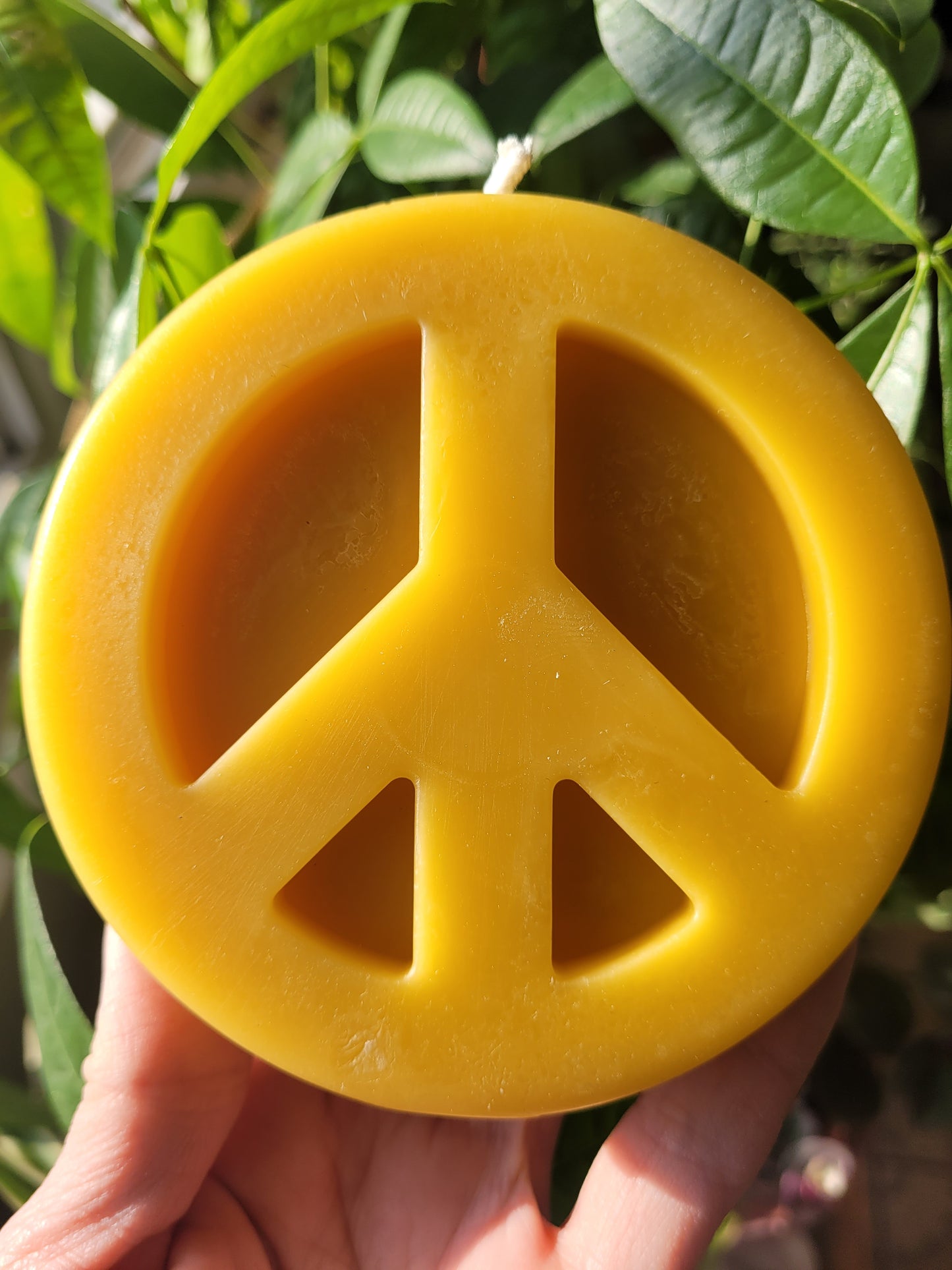 Peace Sign- Beeswax