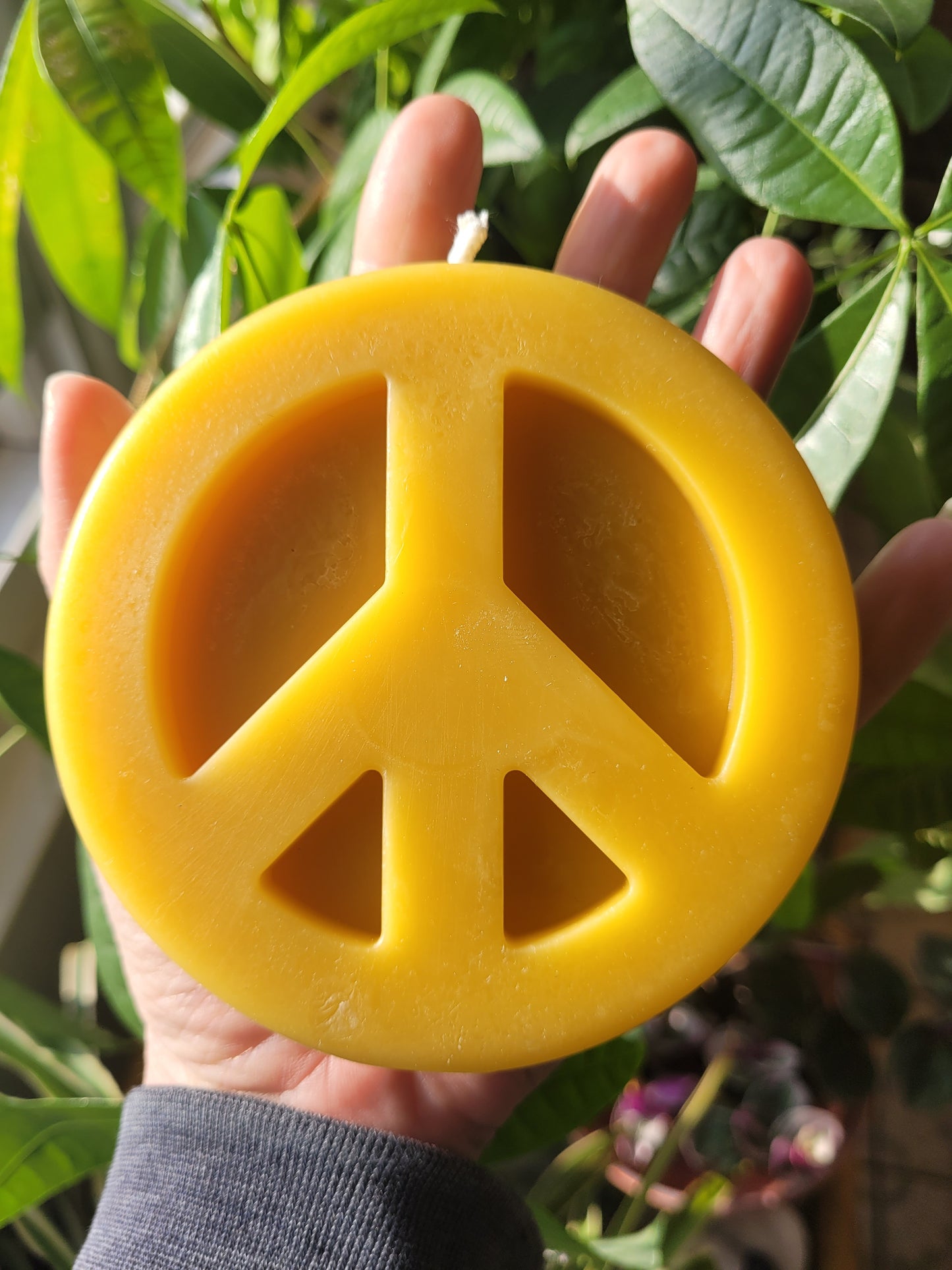 Peace Sign- Beeswax