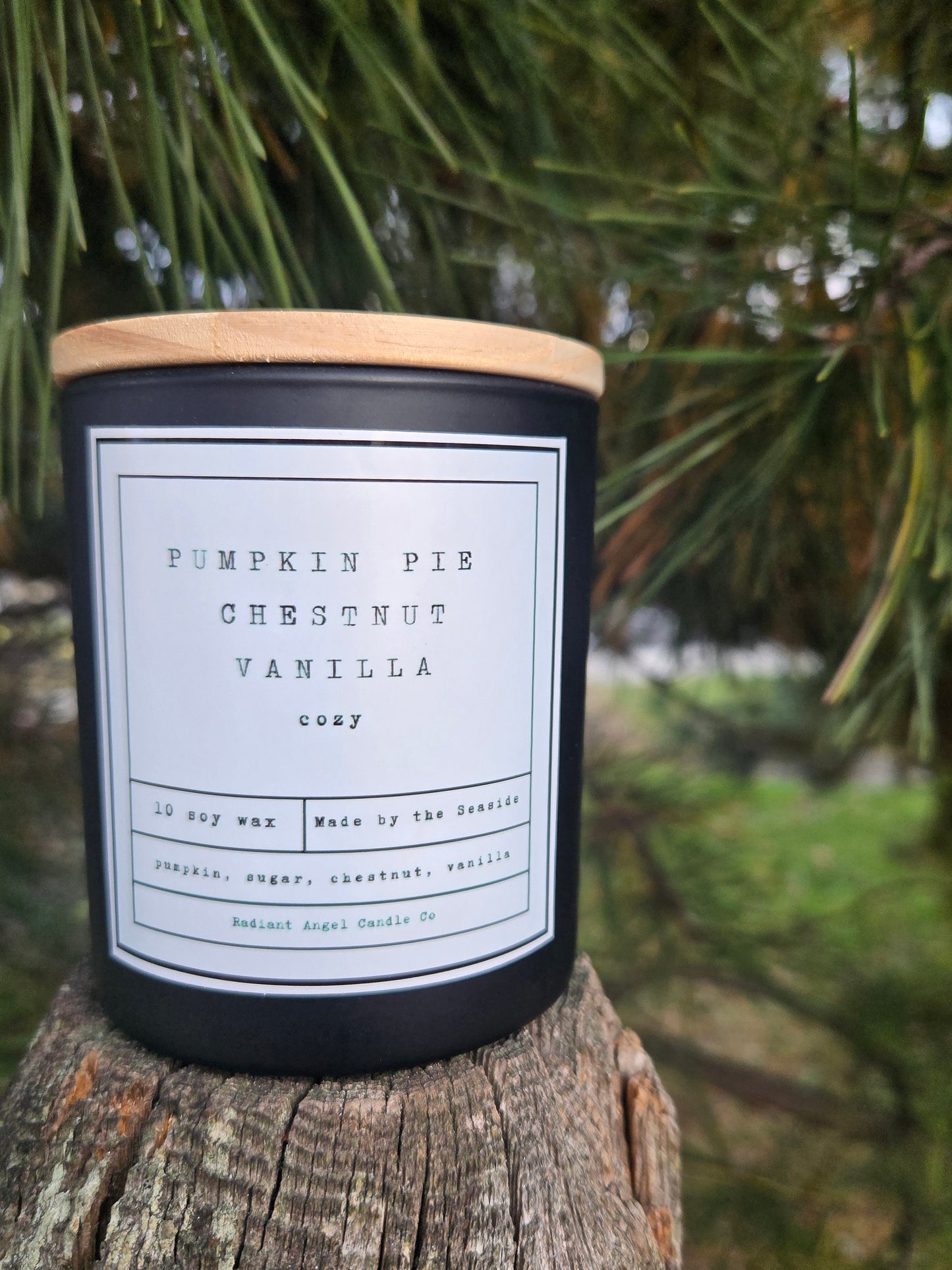 Pumpkin Pie, Roasted Chestnut & Vanilla 10oz  Soy Candle
