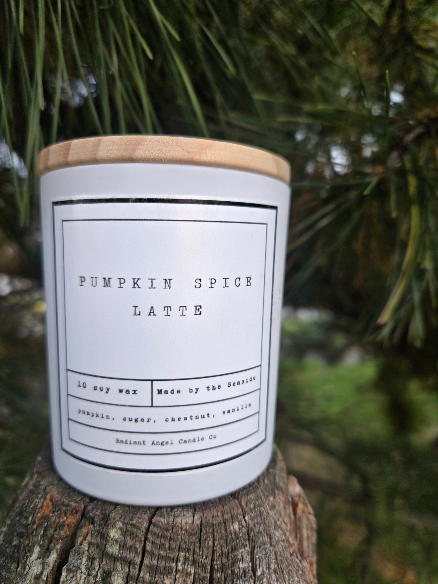 Spiced Pumpkin Latte 10oz Soy Candle
