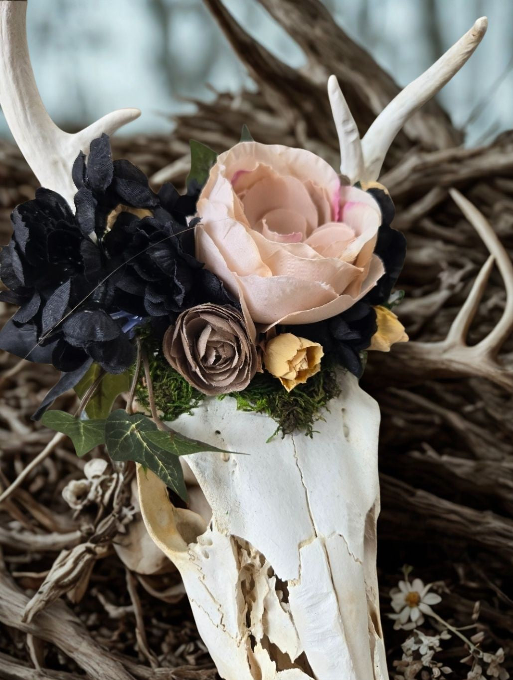 Wanderer’s Spirit Deer Skull