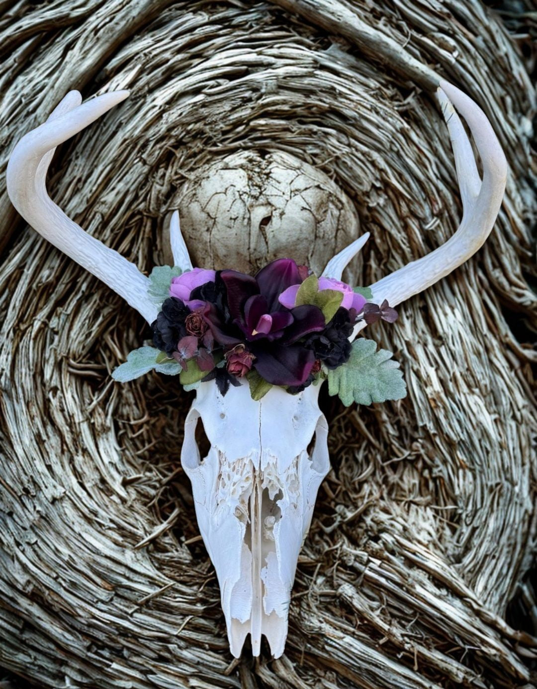Whispers of the Wild Wood Deer Skull