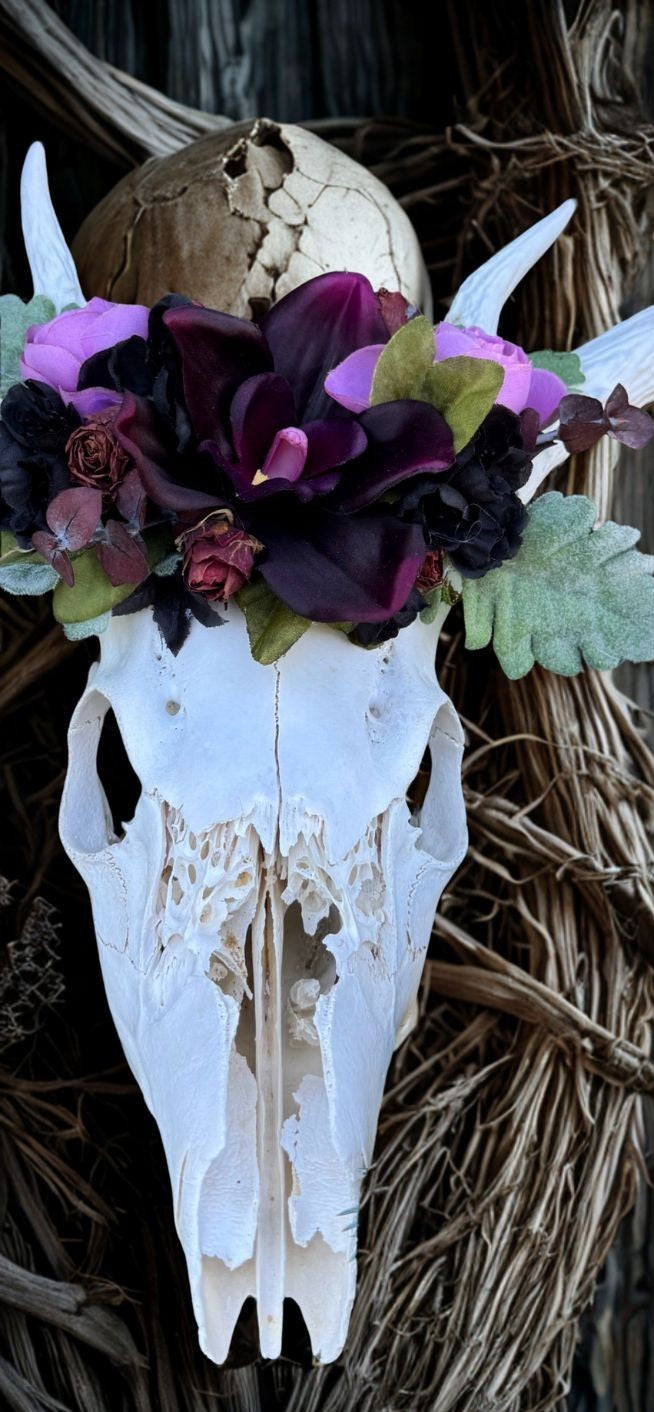 Whispers of the Wild Wood Deer Skull