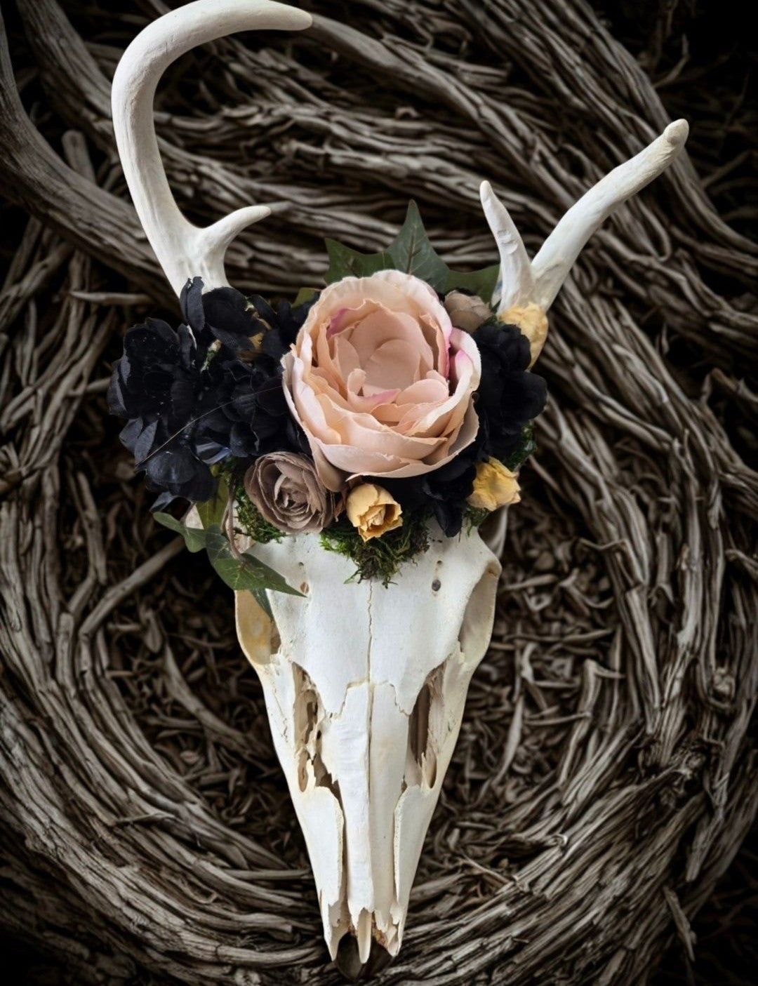 Wanderer’s Spirit Deer Skull