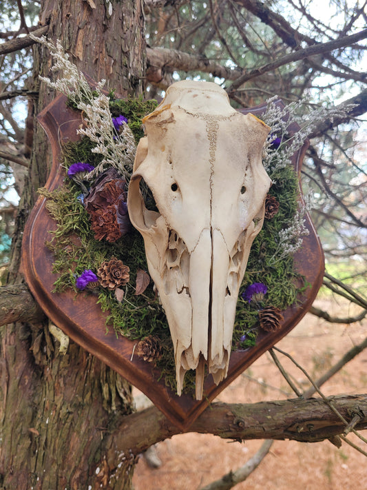 The Devil or the Deer