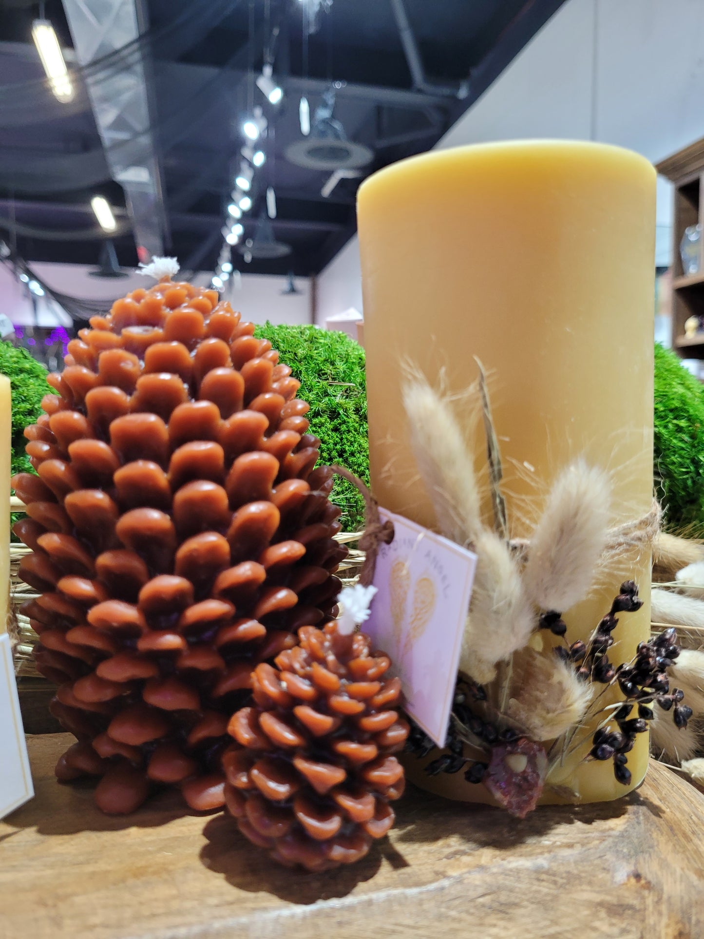 Pinecone Beeswax Candle