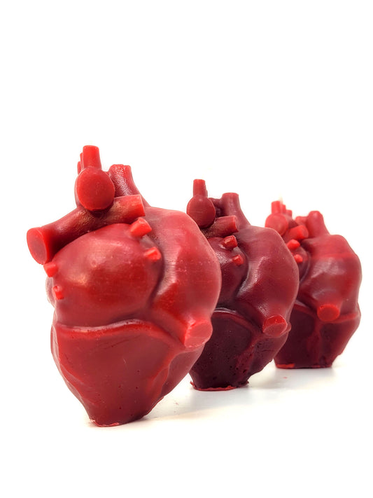 Anatomical Heart Beeswax Candle