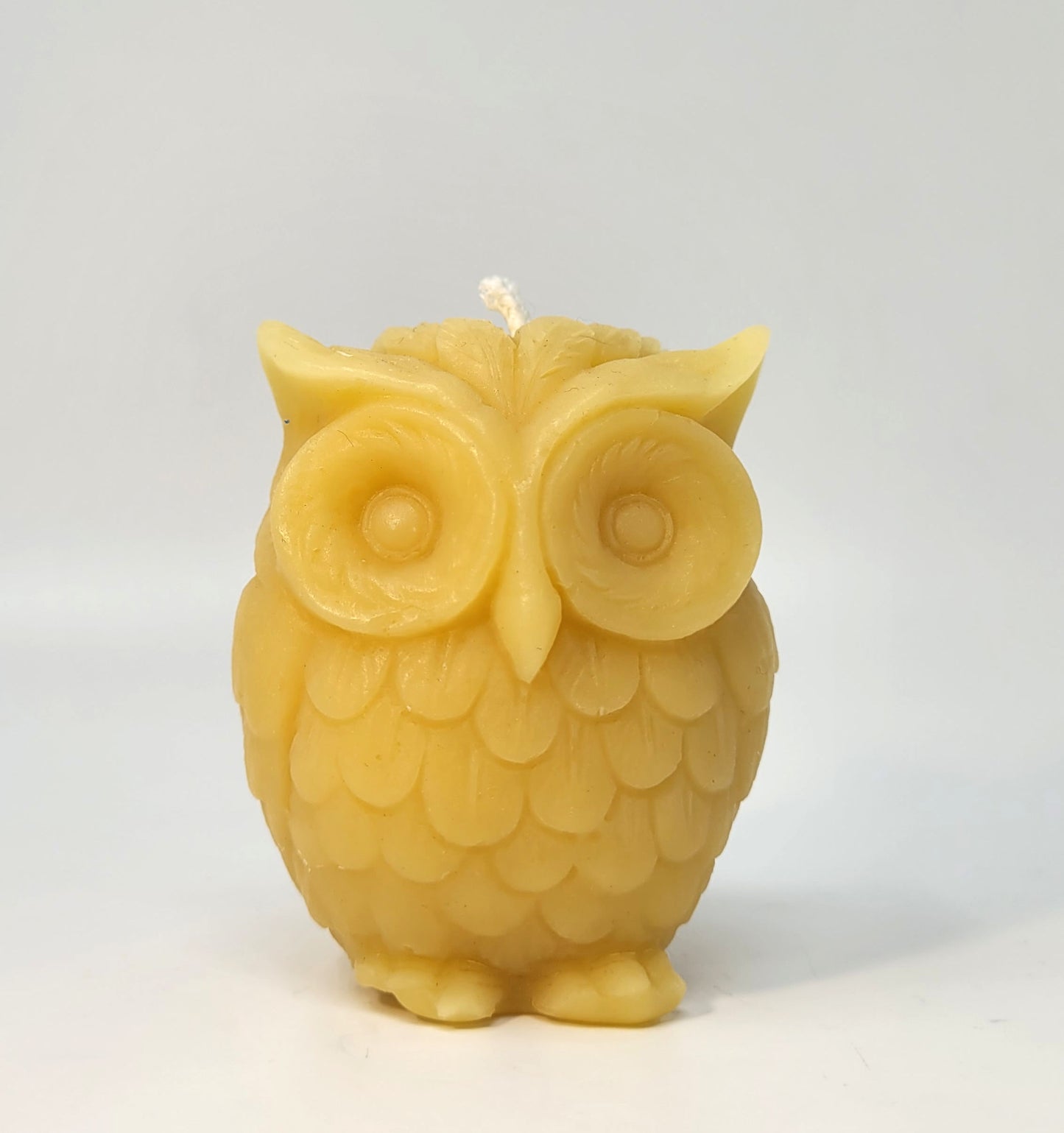 Wise Old Owl Candle