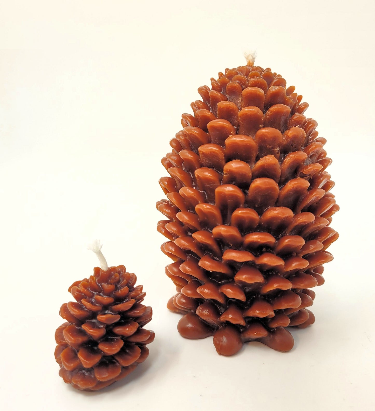 Pinecone Beeswax Candle